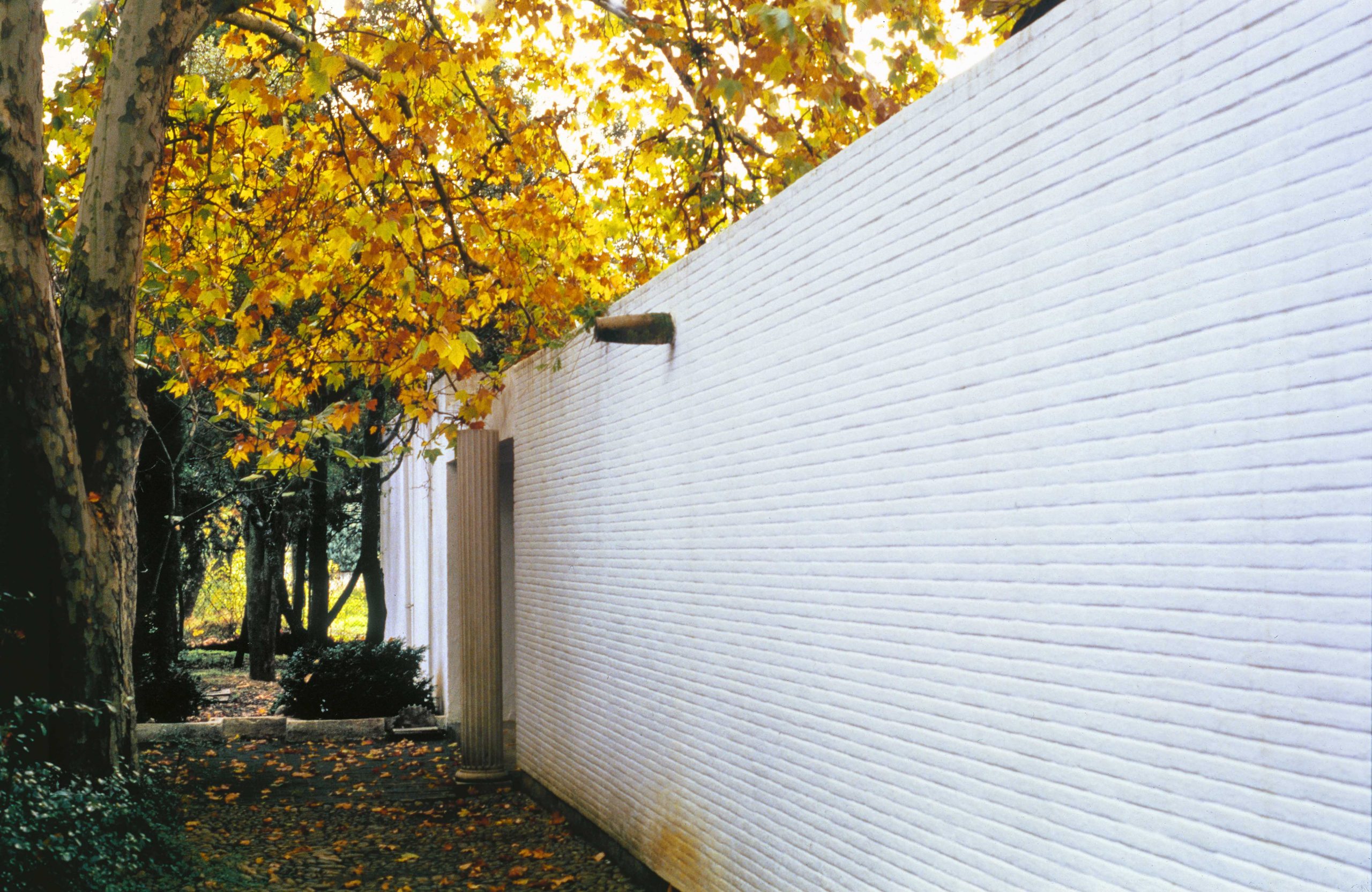 MURO ESTUDIO GRANDE_introduccion